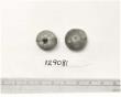 Click for 1 image(s) for this accession. FRUIT